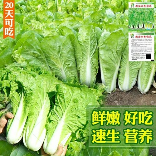 卖装饰材料一年到底能赚多少，老销售把真实